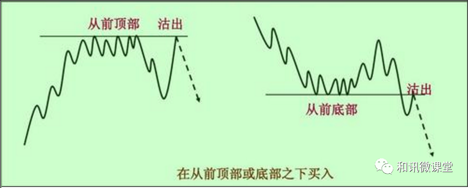 大葱种植方法技术要点_大葱种植的方法和技术_大葱种植方法技术与管理