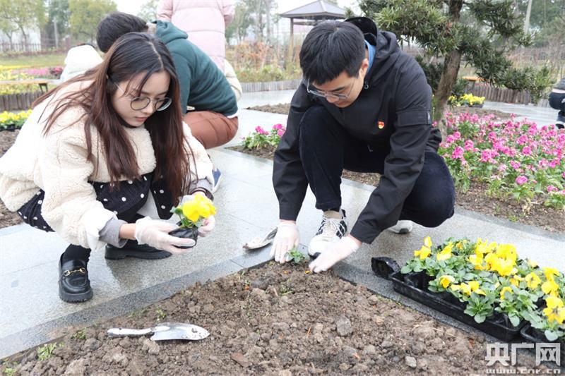 致富种植红色土壤的意义_红色土壤种植致富_致富种植红色土壤图片