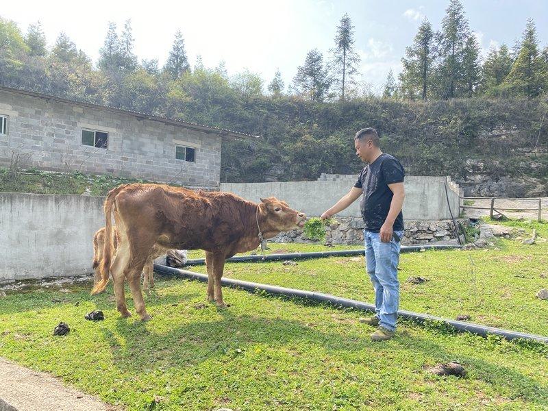 养殖大户致富_致富大户养殖方案_致富项目养殖