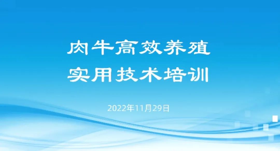 肉用牛养殖技术视频_肉牛养殖视频教程_如何养殖肉牛视频