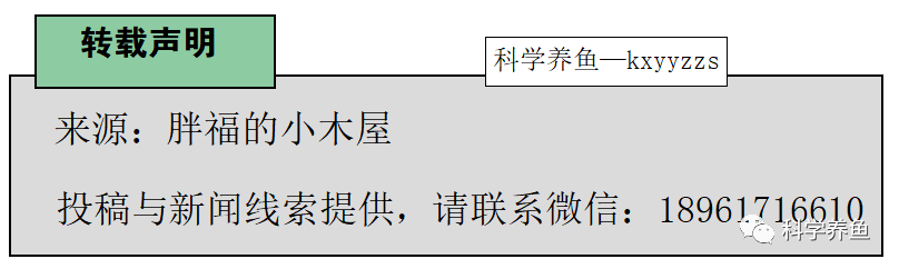 养殖人工鱼苗技术视频_人工鱼苗养殖技术_养殖人工鱼苗技术与管理