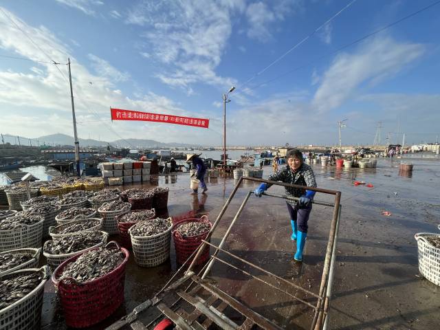 林下鹅农业养殖技术_林地养鹅技术视频_鹅养殖项目