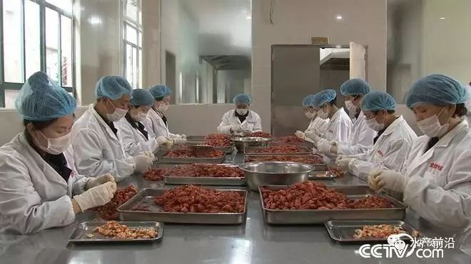 致富经余长生蟹酱名_余长生蟹肉酱旗舰店_面包蟹养殖致富