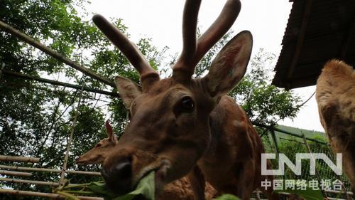 致富经戴立洪联系方式_换种方式赚钱致富_致富带头人带动贫困户方式