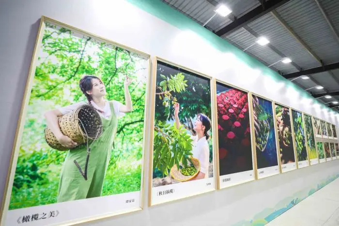 致富经种果树_致富种植什么比较赚大钱_免费种植致富果