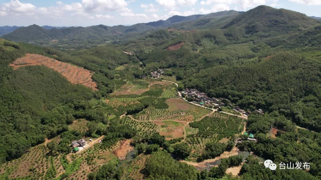 致富种植什么比较赚大钱_种植致富宝典_免费种植致富果