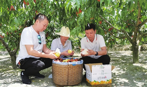 致富经种树视频_致富经靠种植致富路_种植致富业