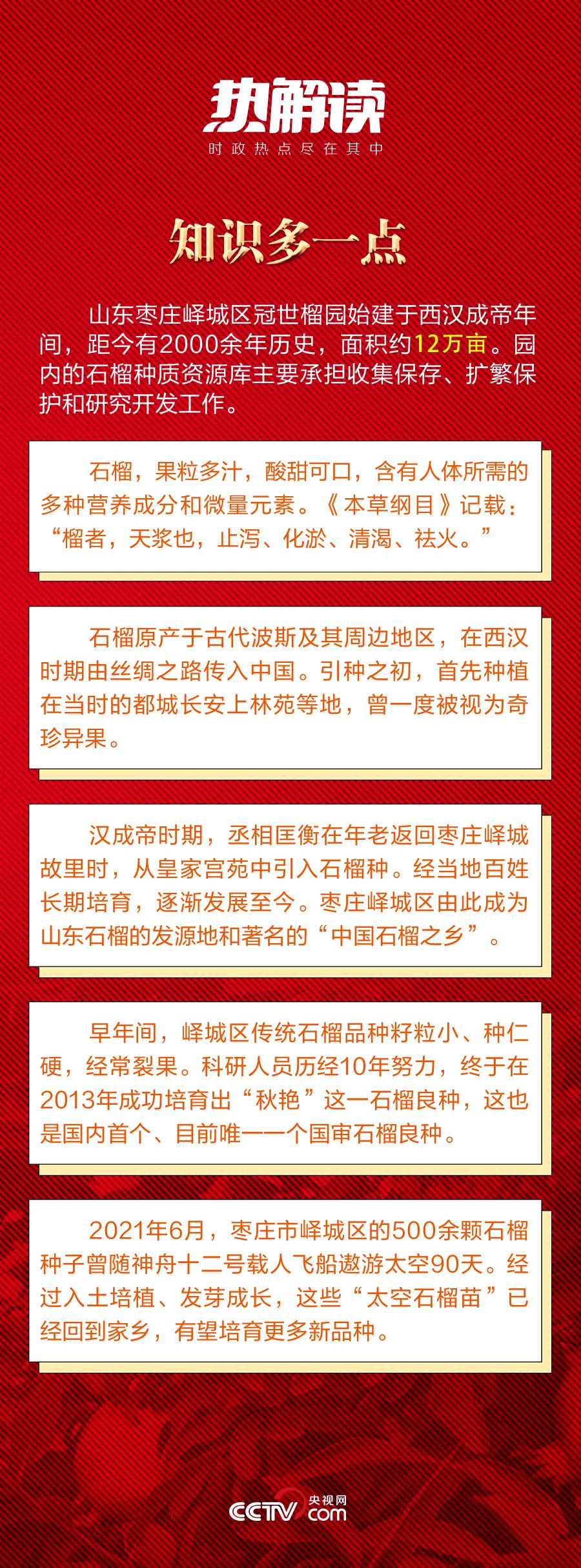 种植石榴致富经_致富石榴种植技术视频_致富石榴种植方法