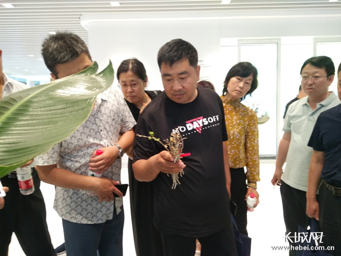 红薯种植视频农广天地_小红薯种植致富_致富红薯种植小视频大全