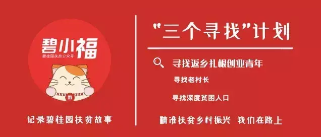 稻田养殖龙虾补贴多少钱一亩_稻田养殖小龙虾视频_致富经稻田养殖小龙虾