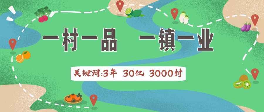 3年30亿扶持3000村！广东“一村一品、一镇一业”今年起这么干！