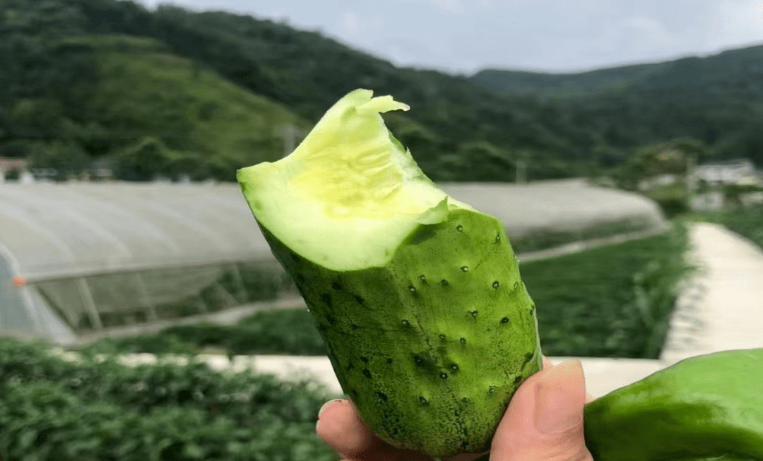 致富种植视频全集_武汉种植什么_武汉种植致富