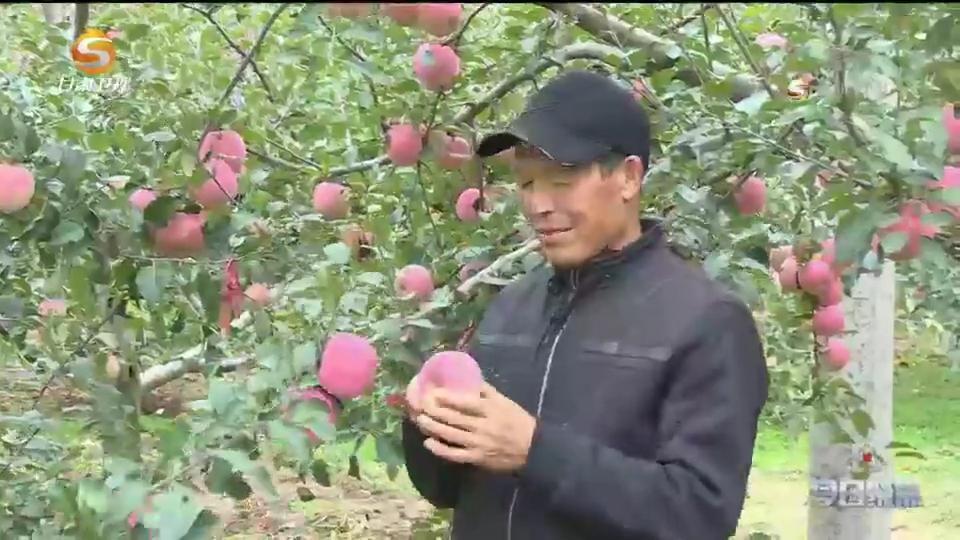 致富经水果视频_致富经水果经销视频_视频致富水果怎么做