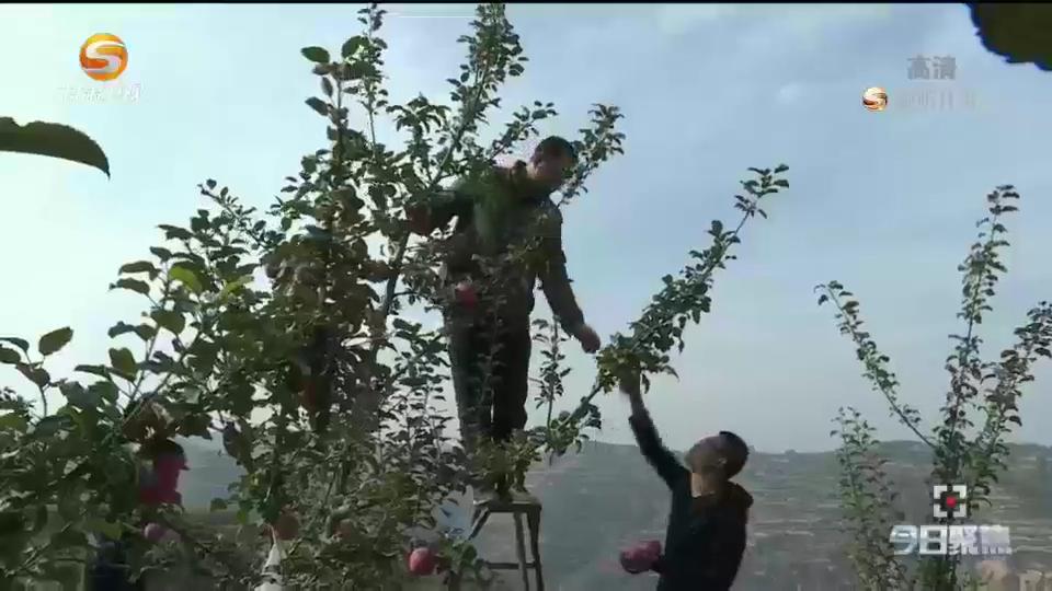 致富经水果经销视频_致富经水果视频_视频致富水果怎么做