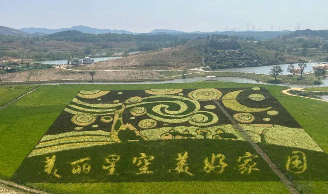 湖北农业种植致富项目_致富种植视频全集_武汉种植致富