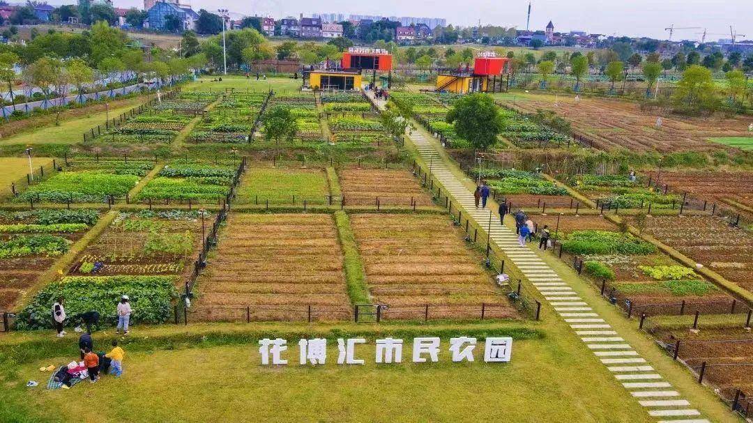 武汉种植致富_湖北农业种植致富项目_致富种植视频全集