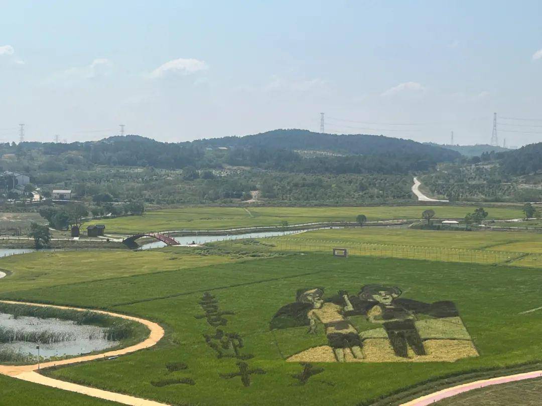 致富种植视频全集_湖北农业种植致富项目_武汉种植致富