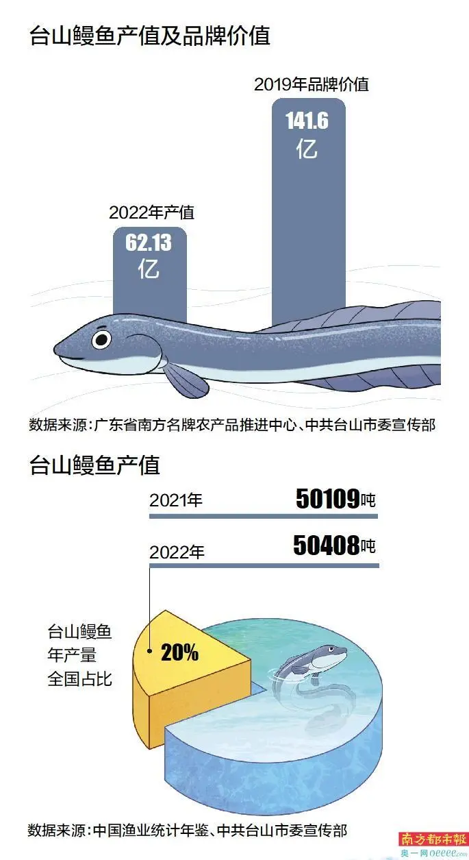 养殖淡水鳗视频_鳗鱼淡水 养殖技术_淡水养殖鳗鱼技术视频