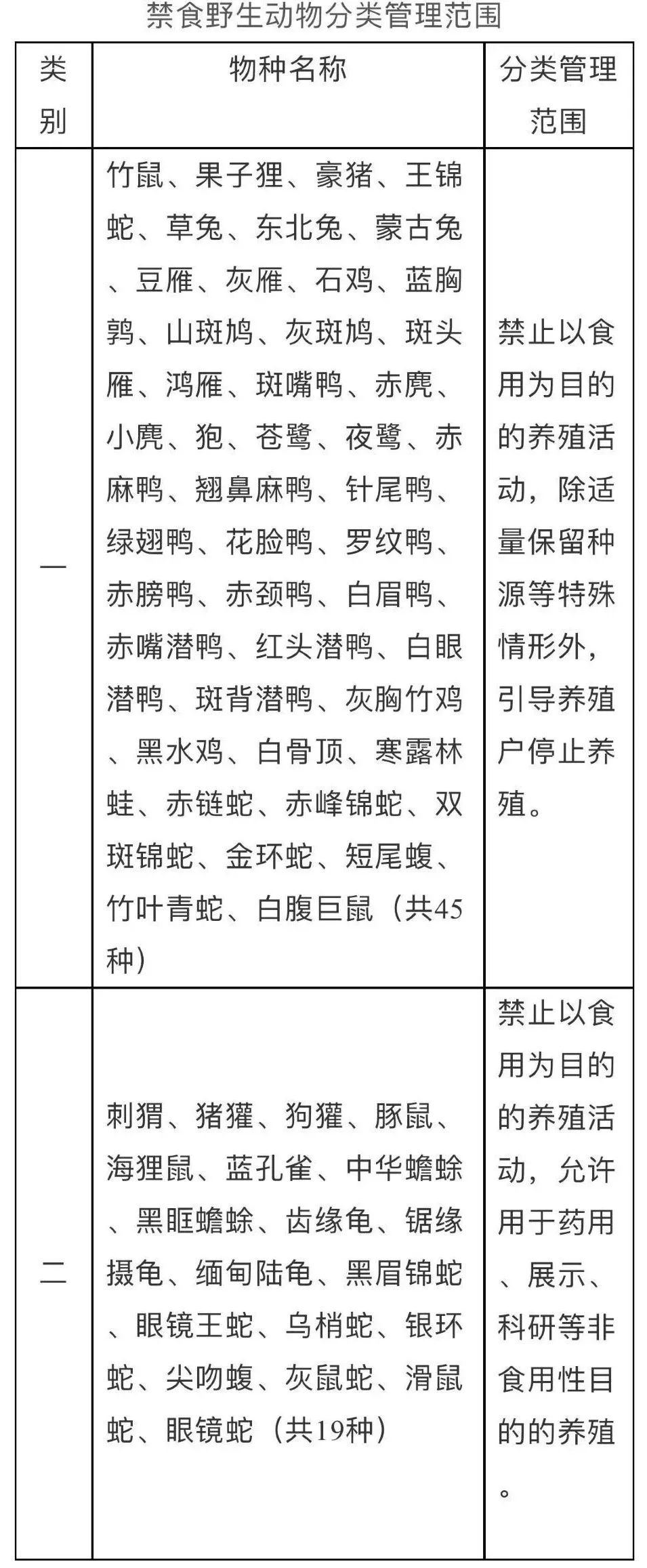 刺猬养殖需要什么手续_东北刺猬养殖技术_刺猬养殖技术视频