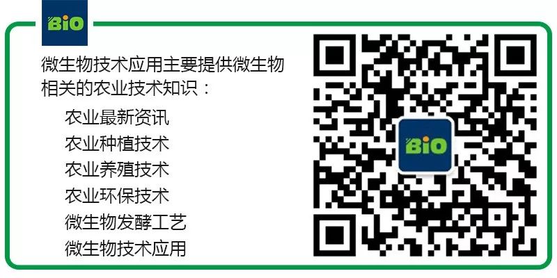 蜗牛养殖技术方法_蜗牛的养殖方法和注意事项_蜗牛养殖方法技术与管理