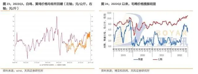 养殖淡水鳗视频_淡水鳗鱼养殖视频_鳗鱼淡水 养殖技术