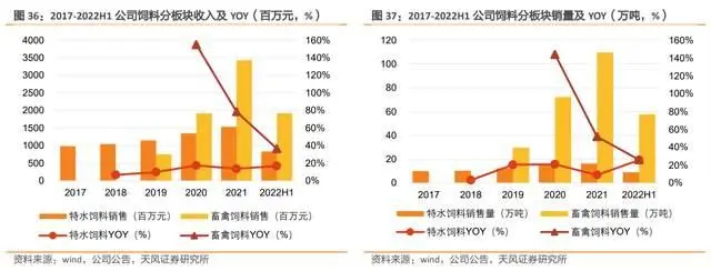 淡水鳗鱼养殖视频_鳗鱼淡水 养殖技术_养殖淡水鳗视频