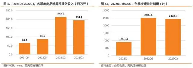 养殖淡水鳗视频_淡水鳗鱼养殖视频_鳗鱼淡水 养殖技术