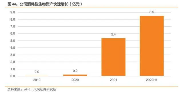 养殖淡水鳗视频_鳗鱼淡水 养殖技术_淡水鳗鱼养殖视频