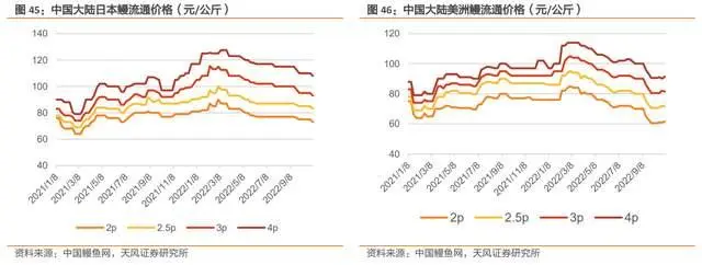 鳗鱼淡水 养殖技术_淡水鳗鱼养殖视频_养殖淡水鳗视频