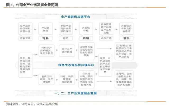 鳗鱼淡水 养殖技术_淡水鳗鱼养殖视频_养殖淡水鳗视频