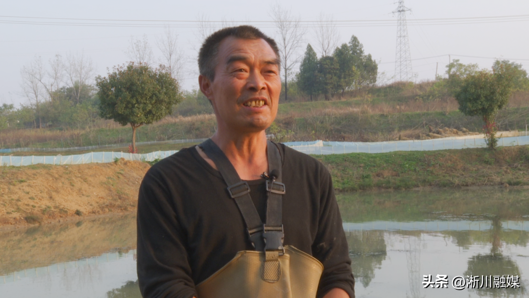 重庆大闸蟹养殖基地_致富经重庆武隆大闸蟹_重庆大闸蟹礼券专卖