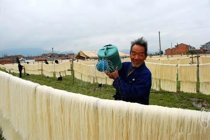 农村种植致富树_农村致富种什么树_种树致富经