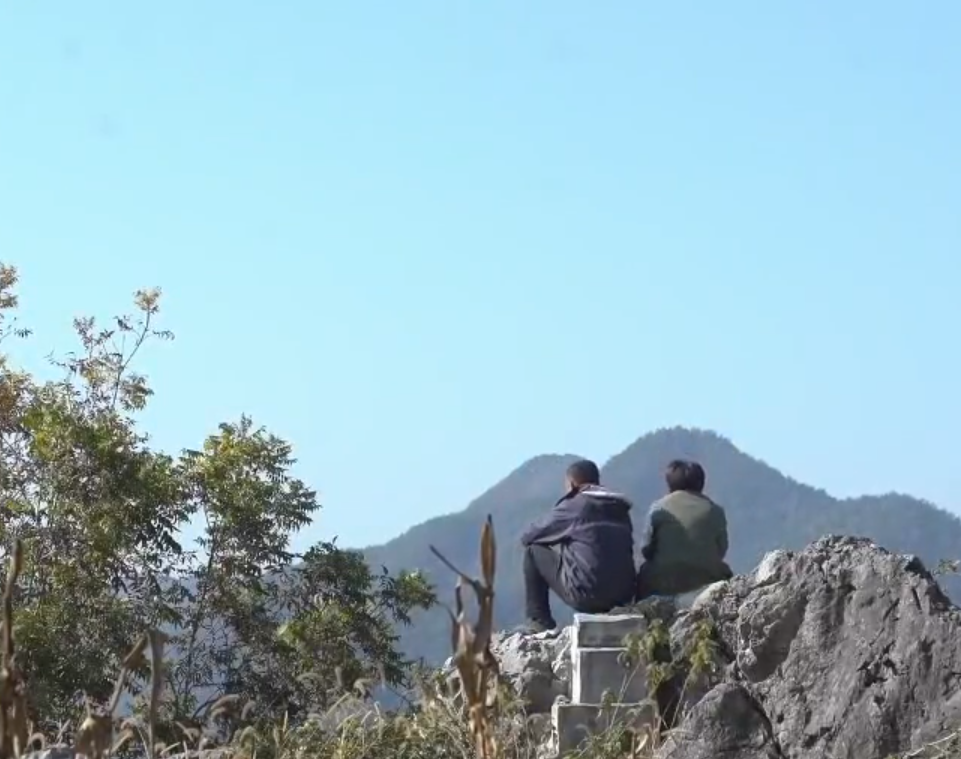 致富经种植核桃_致富核桃种植方法_致富核桃种植技术视频