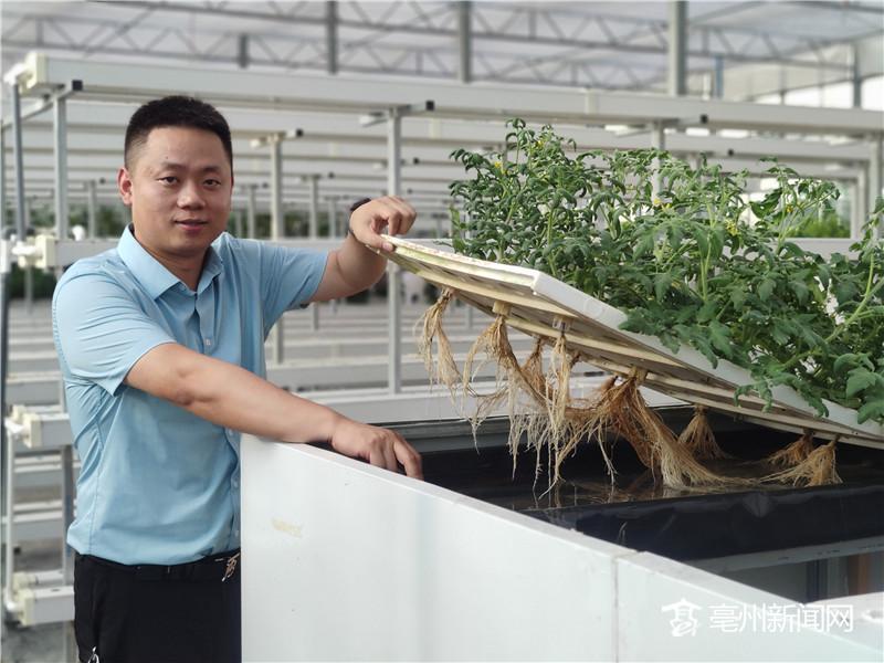 农村种植药材致富经_农村致富经中药材种植_致富药材种植农村有补贴吗