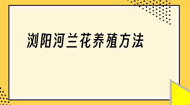 浏阳河兰花养殖方法