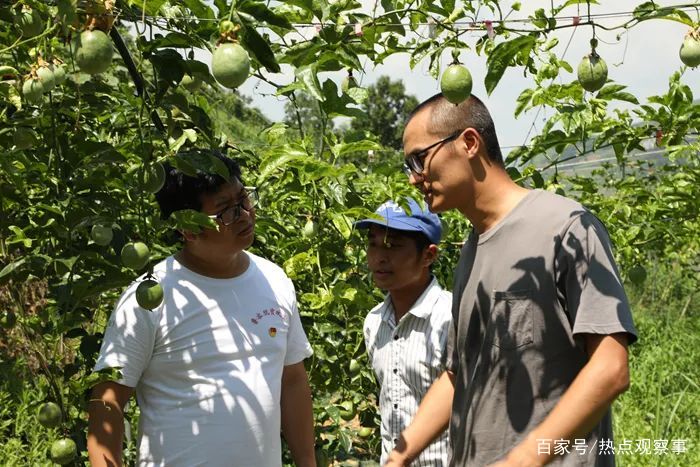 夏津县孙家窑村：土地流转助力乡村振兴“新引擎”