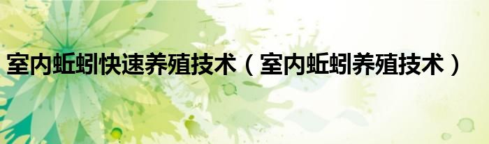 室内蚯蚓快速养殖技术（室内蚯蚓养殖技术）