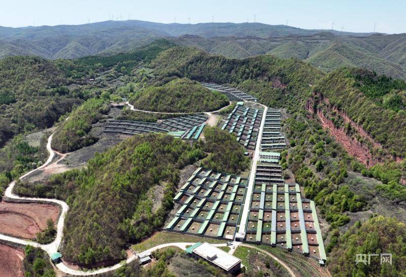 靠山养殖什么比较好_靠山种植致富项目_农村靠山怎么致富