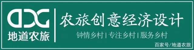 看看她怎样依托软硬资源，撬动的乡村振兴！