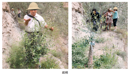 致富种植创业项目_致富种植视频全集_种植致富信息