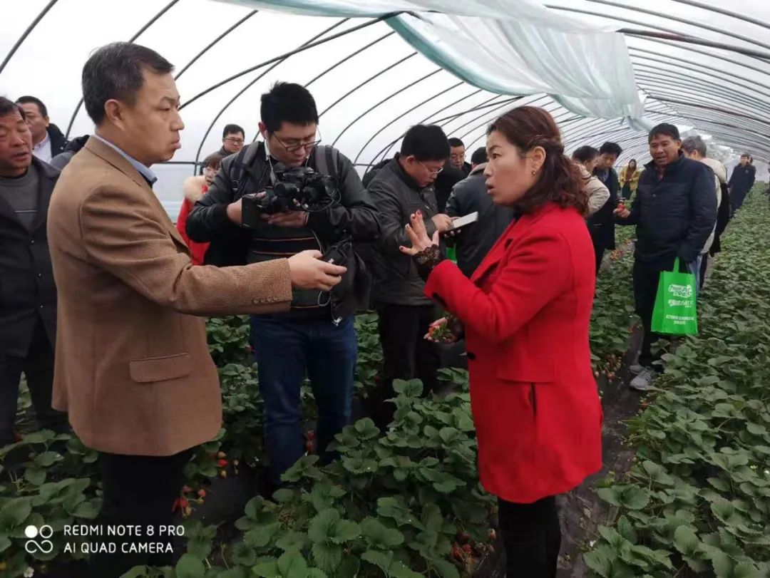 致富种植什么比较赚大钱_种植致富经_科学种植致富