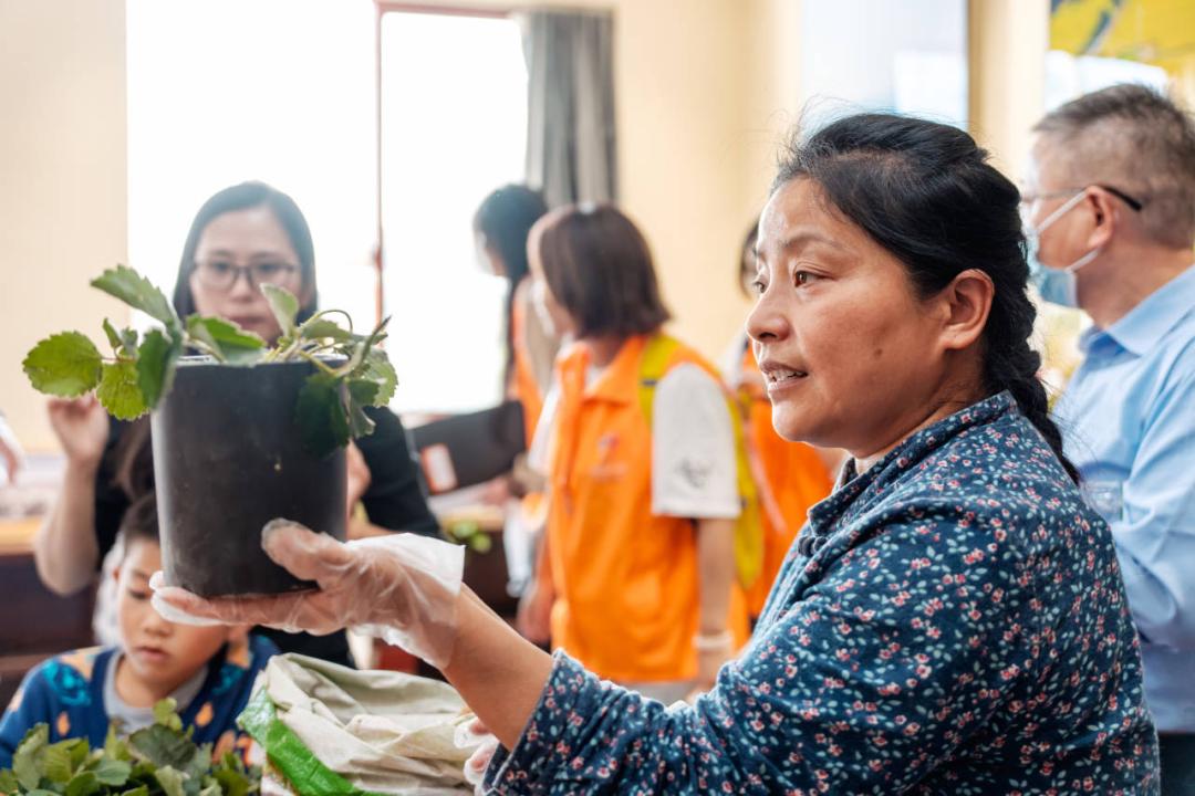 大棚生姜高产栽培技术视频_致富经大棚生姜种植_大棚生姜种植视频