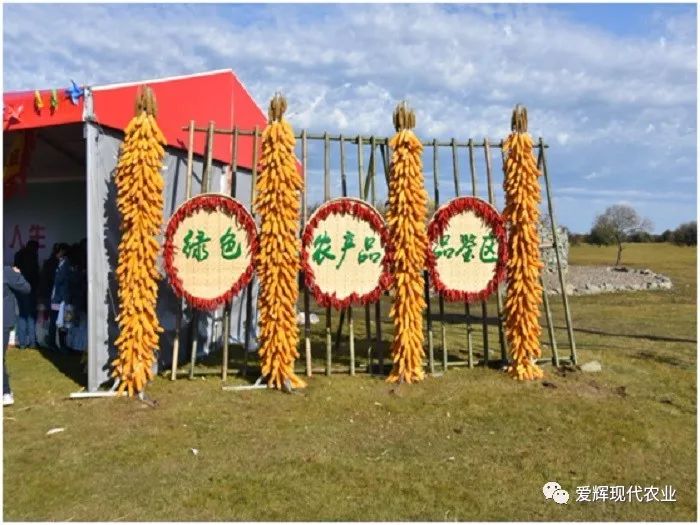 滑子蘑养殖技术_滑子蘑养殖前景怎么样_滑子蘑的种植技术