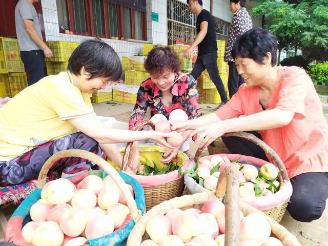 红桃亩产多少斤_红桃k种植亩产有多少_种植红桃致富