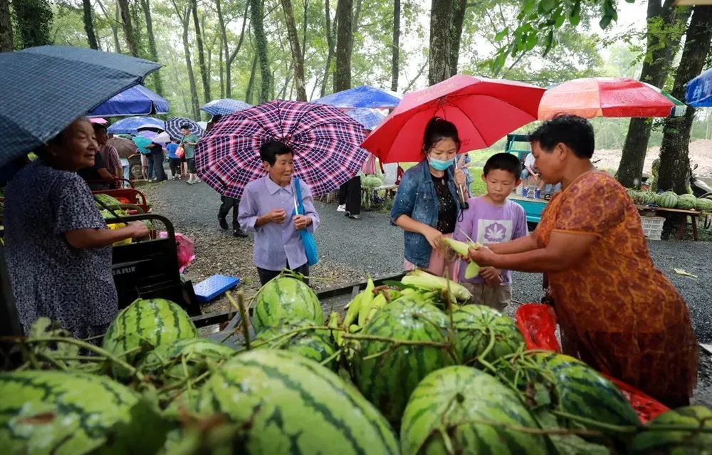 农民种植致富_致富经农业种植_农业种植致富秘密