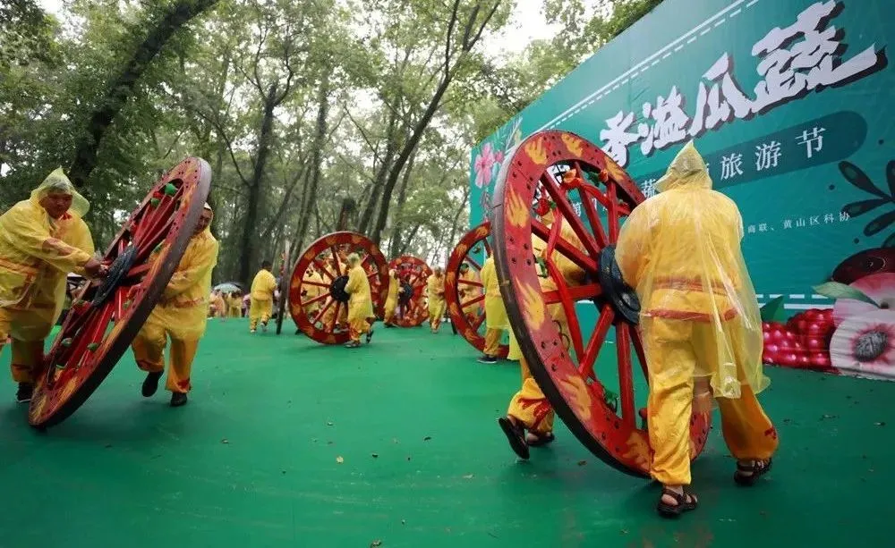 农业种植致富秘密_致富经农业种植_农民种植致富