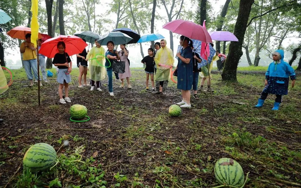 农业种植致富秘密_致富经农业种植_农民种植致富