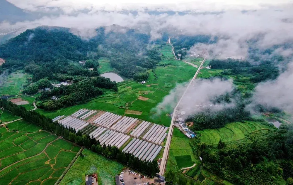 致富经农业种植_农业种植致富秘密_农民种植致富