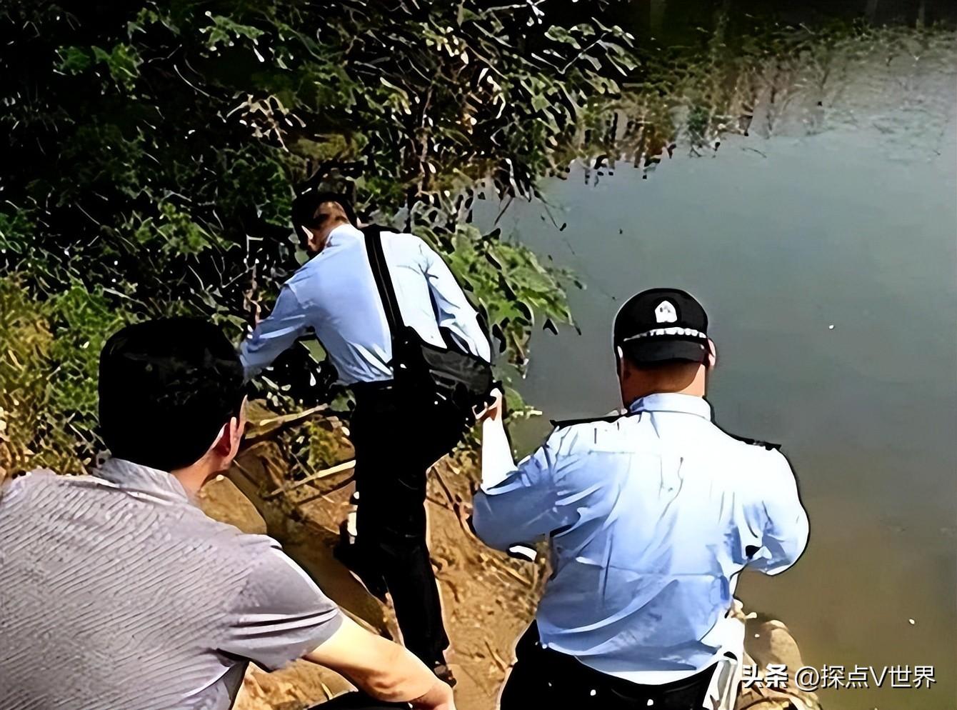 种植苹果致富去世_种植苹果致富的人_种植苹果赚钱吗