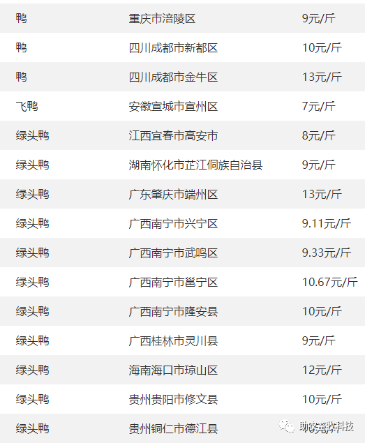 致富经 鹅养殖业_鹅养殖项目_养鹅致富经